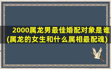 <strong>2000属龙男最佳婚配对象是</strong>