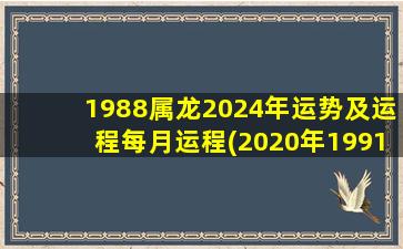 1988属龙2024年运势及运程每