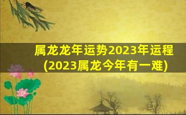 属龙龙年运势2023年运程