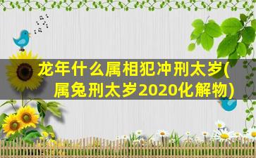 龙年什么属相犯冲刑太岁