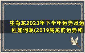 生肖龙2023年下半年运势及运程如何呢(2019属龙的运势和财运)