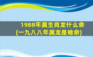 1988年属生肖龙什么命(一九