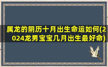 属龙的阴历十月出生命运