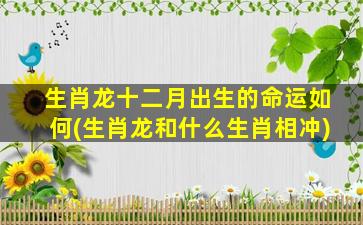 生肖龙十二月出生的命运如何(生肖龙和什么生肖相冲)