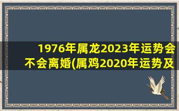 1976年属龙2023年运势会不