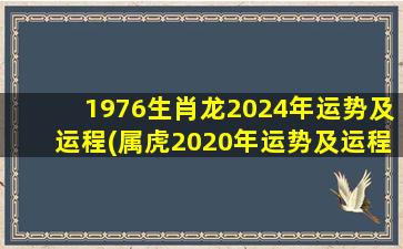 1976生肖龙2024年运势及运程