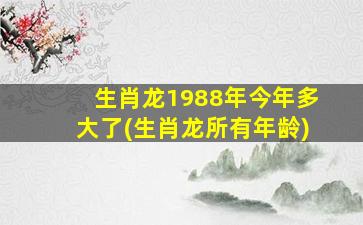 生肖龙1988年今年多大了(生肖龙所有年龄)