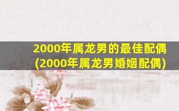 2000年属龙男的最佳配偶(2000年属龙男婚姻配偶)