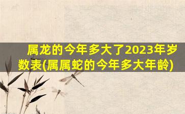 属龙的今年多大了2023年