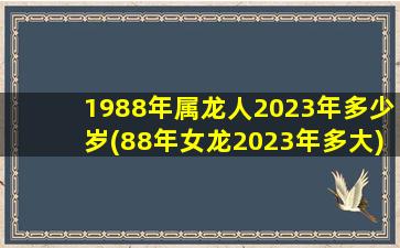 1988年属龙人2023年多少岁