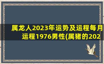 属龙人2023年运势及运程每