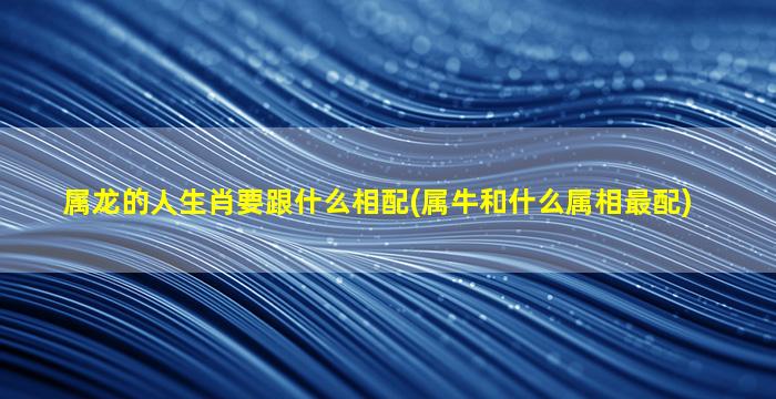 属龙的人生肖要跟什么相