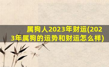 属狗人2023年财运(2023年属