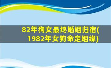 82年狗女最终婚姻归宿