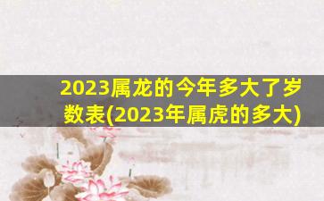 2023属龙的今年多大了岁数