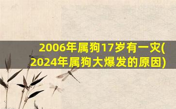 2006年属狗17岁有一灾(2