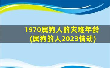 1970属狗人的灾难年龄(属