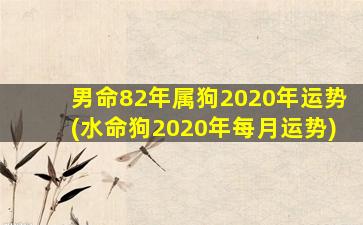 男命82年属狗2020年运势