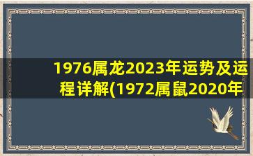 1976属龙2023年运势及运程详解(1972属鼠2020年运势及运程)