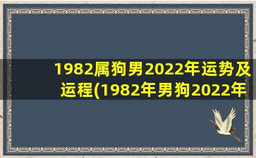 1982属狗男2022年运势及运