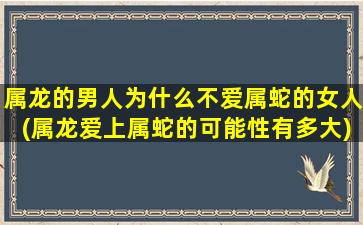 属龙的男人为什么不爱属