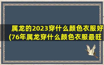 属龙的2023穿什么颜色衣