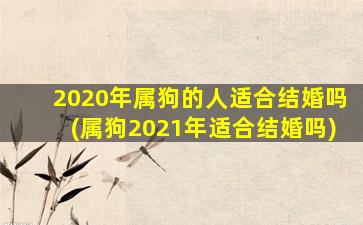 2020年属狗的人适合结婚