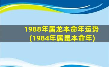 1988年属龙本命年运势(