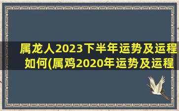 属龙人2023下半年运势及