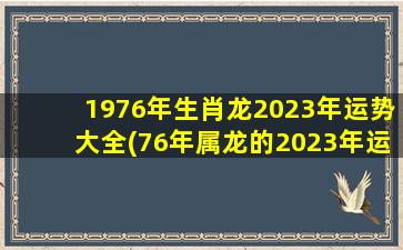 1976年生肖龙2023年运势大