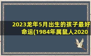 2023龙年5月出生的孩子最好命运(1984年属鼠人2020年运势)