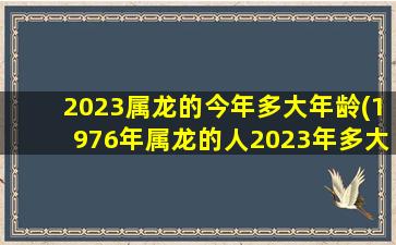 2023属龙的今年多大年龄