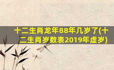 十二生肖龙年88年几岁了