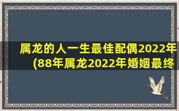 属龙的人一生最佳配偶2022年(88年属龙2022年婚姻最终归宿)