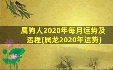 属狗人2020年每月运势及运