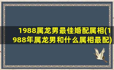 1988属龙男最佳婚配属相