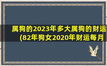 属狗的2023年多大属狗的财