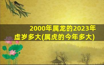 2000年属龙的2023年虚岁多大