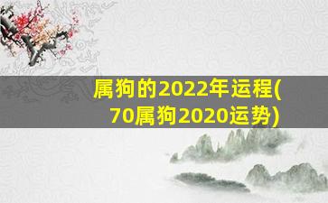 属狗的2022年运程(70属狗