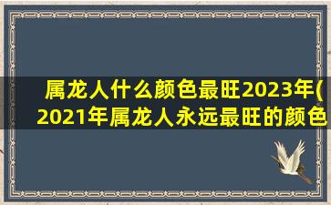 属龙人什么颜色最旺2023年