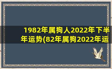 1982年属狗人2022年下半年