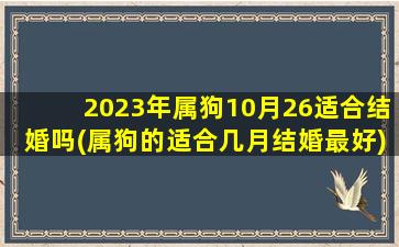 2023年属狗10月26适合结婚吗