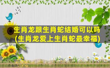 生肖龙跟生肖蛇结婚可以吗(生肖龙爱上生肖蛇最幸福)