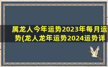 属龙人今年运势2023年每月运势(龙人龙年运势2024运势详解)