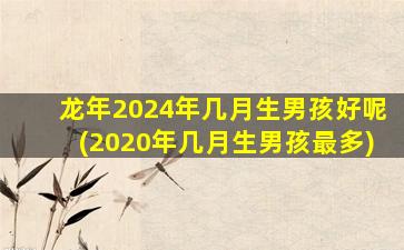 龙年2024年几月生男孩好呢