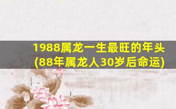 <strong>1988属龙一生最旺的年头</strong>