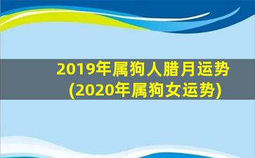 2019年属狗人腊月运势(