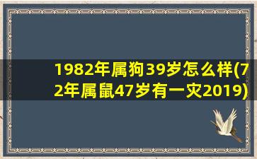 1982年属狗39岁怎么样(7