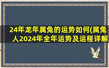 24年龙年属兔的运势如何