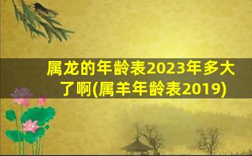 属龙的年龄表2023年多大